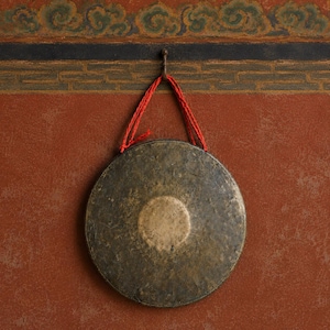 May include: A circular bronze gong with a weathered, dark patina and a central raised disc. The instrument is suspended from a metal hook by a bright red braided cord, featuring a textured surface with visible signs of age and metallic oxidation.
