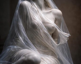 Veiled Silence