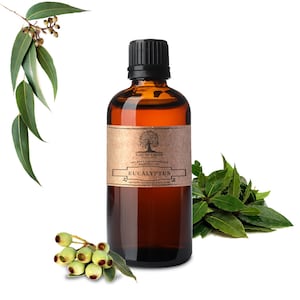 May include: A brown glass bottle with a black cap filled with eucalyptus essential oil. The bottle has a brown paper label with the text "Nature's Note" and "Eucalyptus" printed on it. The bottle is surrounded by eucalyptus leaves.