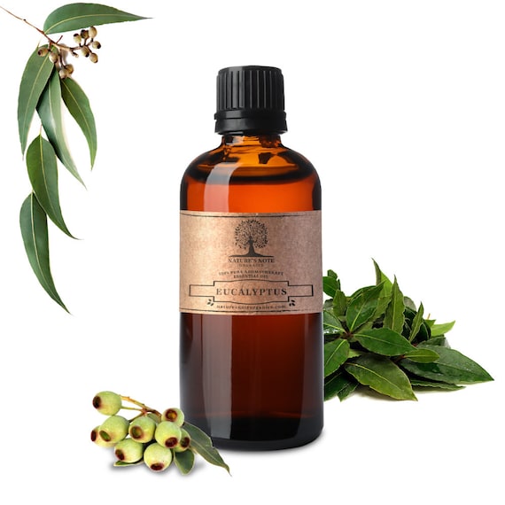 Organic Eucalyptus Essential Oil: 100% Pure Aromatherapy Grade