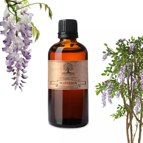 Wisteria Essential Oil – 100% Pure Aromatherapy Grade
