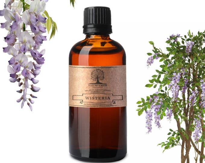 Wisteria Perfume Oil Etsy