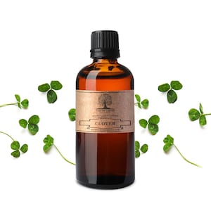 Clover Ätherisches Öl - 100% reines Aromatherapieöl durch die Note der Natur Organics