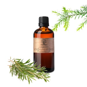 Australian Tea Tree Essential Oil - 100% Pure Aromatherapy Grade Essential oil by Nature&#39;s Note Organics