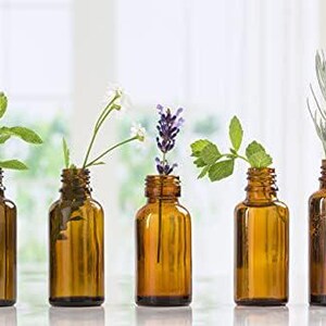 May include: Five amber glass bottles with droppers, each containing a different type of essential oil. The bottles are arranged in a row on a white surface. The oils are labelled with different herbs and flowers, including lavender, mint, and rosemary.