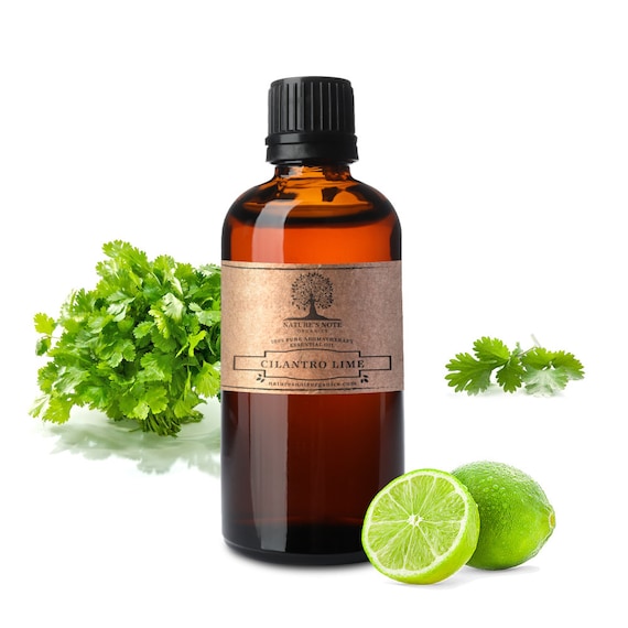 Cilantro Essential Oil: 100% Pure Aromatherapy Grade