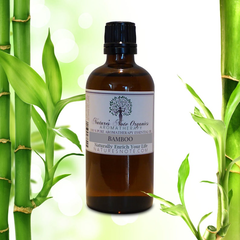 óleo Essencial Bamboo Para Que Serve Organic Bamboo Essential Oil 100% Pure Aromatherapy Grade | Etsy