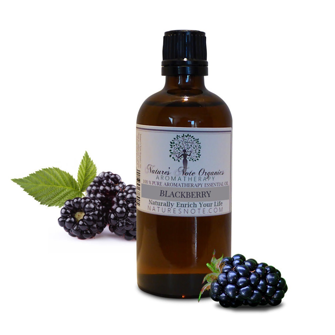 Blackberry Essential Oil 100 Pure Aromatherapy Grade Etsy