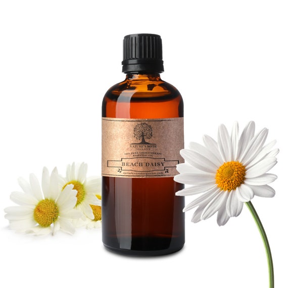 Beach Daisy Essential Oil: Aromatherapy Grade, Natural Scent