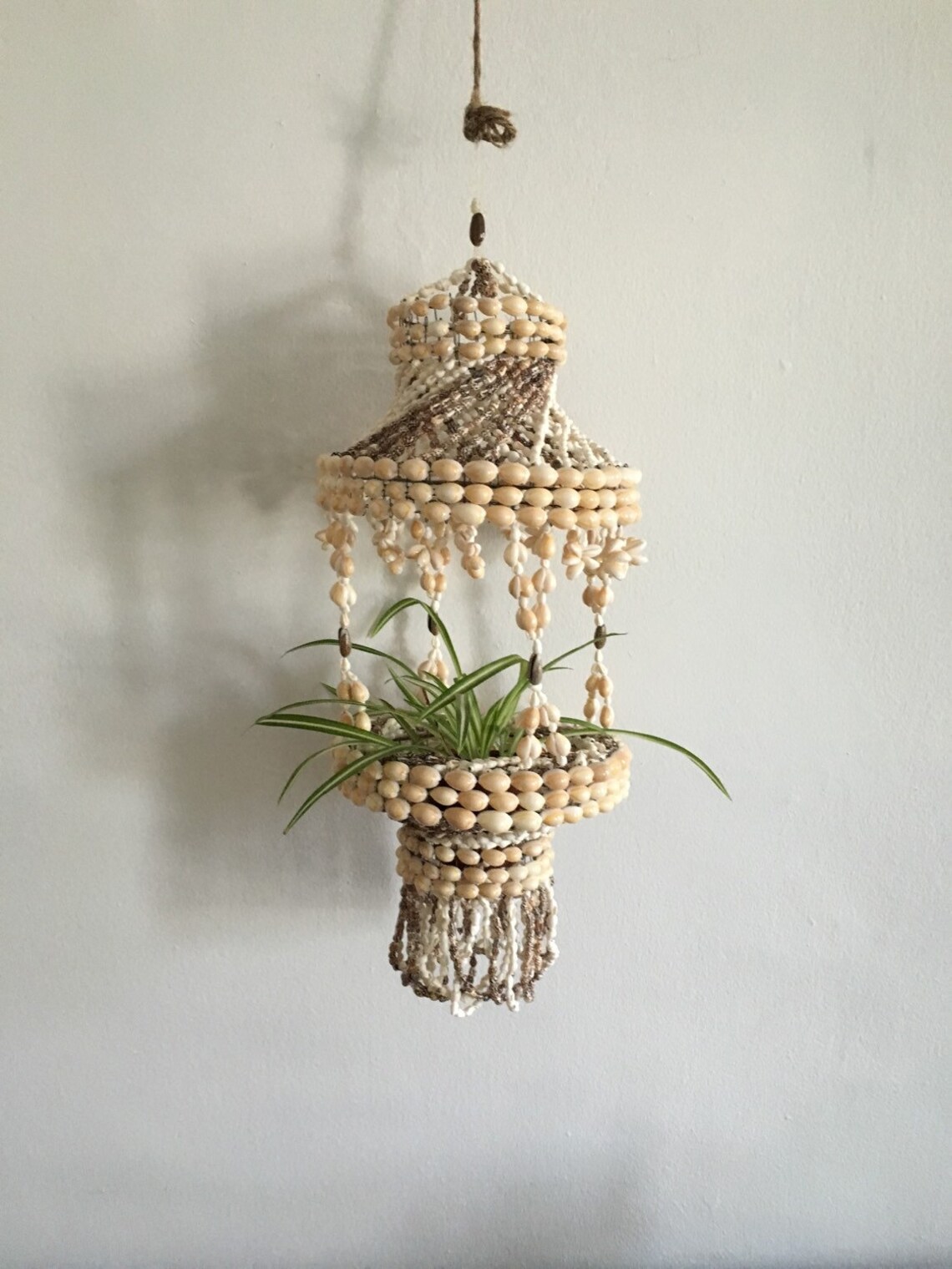 Boho chic shell chandelier. hanging mid century shell planter. Etsy