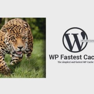 May include: A jaguar with a spotted coat walks through green grass. To the right, the logo for "WP Fastest Cache" is displayed, with the text "WP Fastest Cache" and "The simplest and fastest WP Cache system."