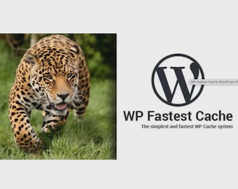 Whale Pack für ``Schnellstes Cache Premium Plug-in WordPress-Geschwindigkeits-Optimierung | GPL | Lebenslanges Updaten | Neueste Version