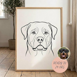 Puede incluir: Una lámina de arte enmarcada con un dibujo de línea negra de la cabeza de un perro Rottweiler sobre un fondo blanco. Un pequeño recuadro circular muestra una fotografía de un Rottweiler y una pegatina rosa muestra el texto READY IN 24 HRS.