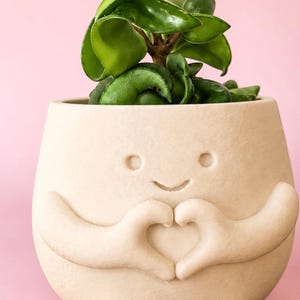 May include: A cream-colored, smiling planter pot with arms and legs, holding hands in a heart shape. The pot contains a green plant with large, waxy leaves. The background is a solid pink.