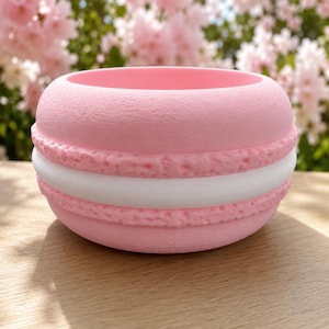 Pink Macaron Plant Pot | Pastel Succulent Planter | Kawaii Planter