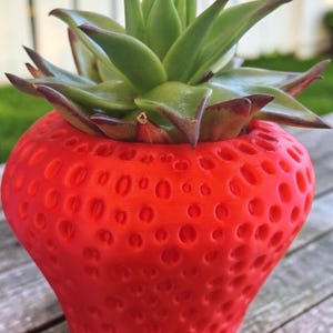Strawberry Cache Pot | Whimsical Cottagecore Indoor Plant Decor