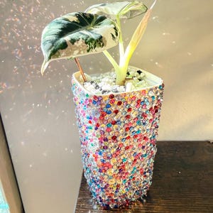 Rhinestone Planter + Pot Sleeve Set | Bedazzled Plant Pot | Colorful Sparkle Planter | Maximalist Plant Decor | Unique Plant Gift