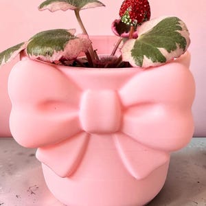May include: A light pink ceramic planter featuring a large, molded bow on the front. Inside the planter is a plant with variegated green and pink leaves and a single, small, decorative strawberry ornament covered in red and green crystals.