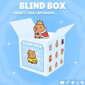 May include: A white square blind box featuring the text BLIND BOX and COLLECT CUTE CAPYBARAS. The box displays a cartoon capybara wearing a crown and cape on top, with a capybara in a yellow jersey on the front and various capybara stickers on the side.