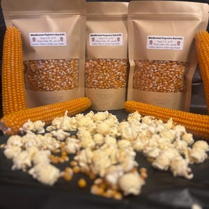 Könnte beinhalten: Drei braune Papiertüten mit Mushroom-Popcorn-Kernen mit Etiketten, zusammen mit Maiskolben und Popcorn. Die Etiketten lauten "Mushroom Popcorn Kernels". Das Bild zeigt auch lose Kerne und Popcorn.
