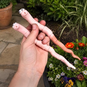 Puede incluir: Dos divertidos gusanos de marionetas de dedo, con cuerpos rosas y ojos blancos y negros. Los gusanos se sostienen en una mano, con un jardín de flores coloridas al fondo. Un artículo de artesanía divertido y creativo.