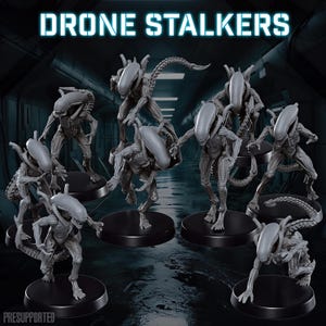 Peut inclure: Un ensemble de sept figurines miniatures grises intitulées DRONE STALKERS, chacune dotée d'une tête allongée, de membres segmentés et d'une longue queue. Les figurines sont posées dans diverses postures dynamiques sur des socles noirs, avec le texte PRESUPPORTED.