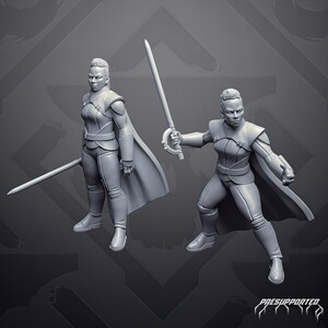 Op de afbeelding: Twee grijze hars miniatuurfiguren van een krijger met kort haar, in harnas en met een cape. Eén figuur staat met een zwaard naar beneden gericht, terwijl de andere in een dynamische gevechtshouding staat met een zwaard omhoog. De tekst "PRESUPPORTED" is zichtbaar.