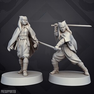 May include: Two unpainted grey resin miniature figures of a humanoid character with head-tails, wearing a cloak, tunic, and leg armour. One figure stands still, while the other is in a dynamic combat pose holding two swords. Text reads PRESUPPORTED.