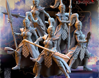 Sisterhood Praetorians Silvermoor Elves by Beholder Miniatures