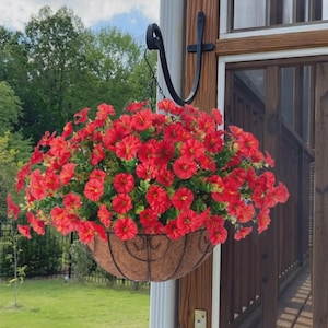 May include: A hanging basket overflowing with vibrant red flowers. The basket is made of a woven, brown material and is suspended by a black metal hook and chain. The flowers are in full bloom, creating a lush, colorful display.