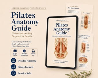 Guide d'étude de l'anatomie Pilates | Décomposition musculaire pour débutants, étudiants et enseignants (PDF numérique)
