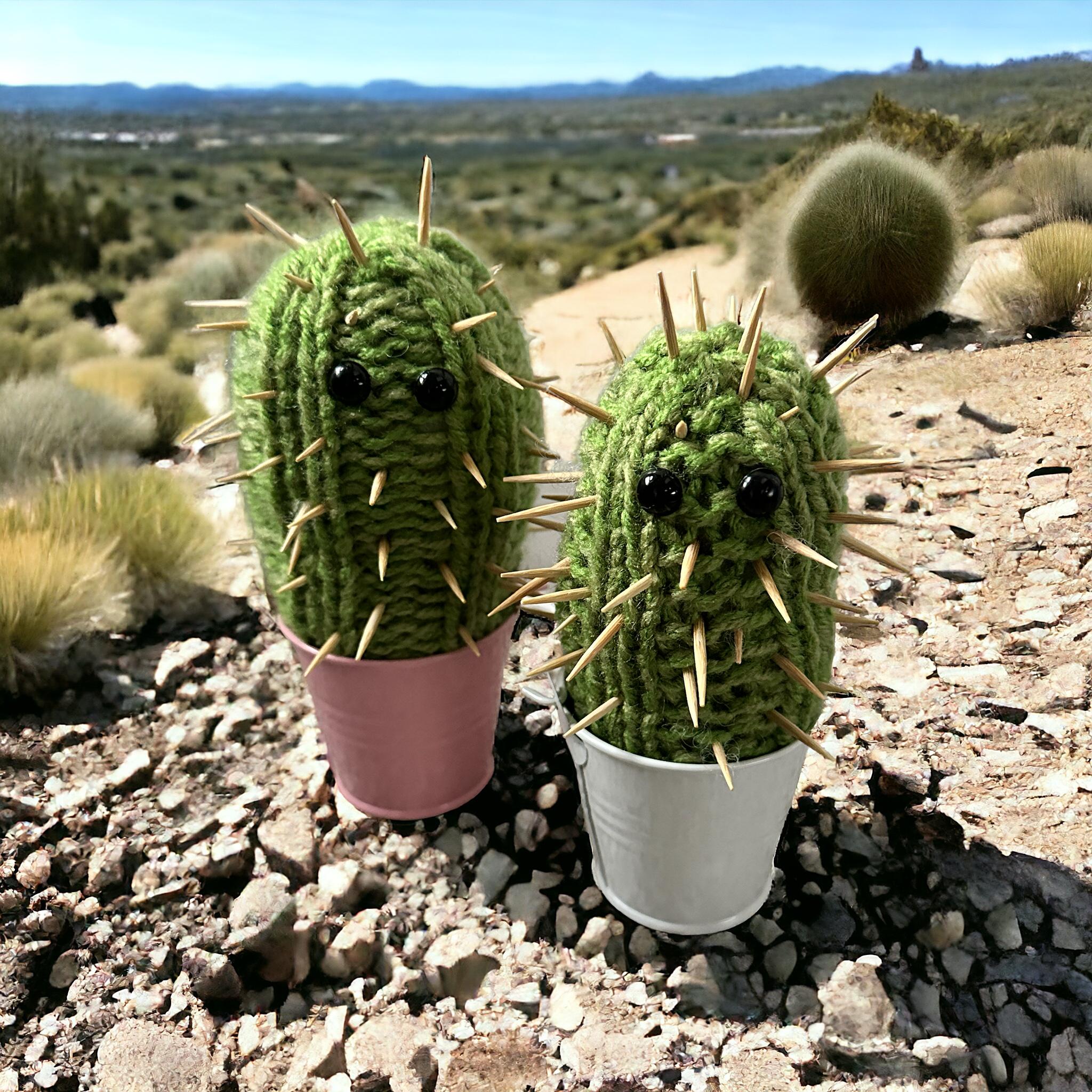 Spikes Cactus - Etsy