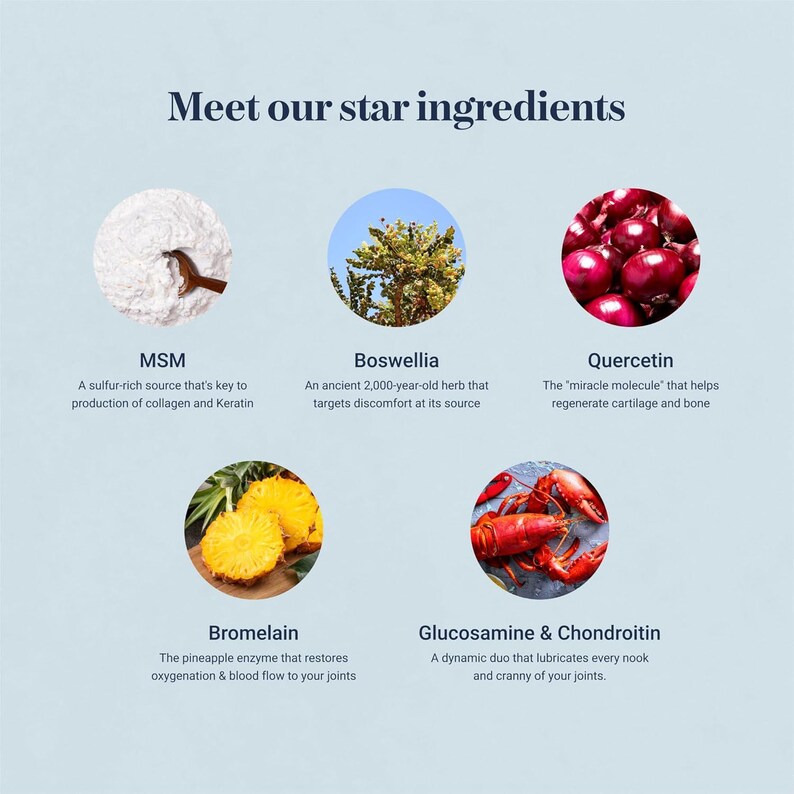 May include: An infographic titled Meet our star ingredients featuring five circular images: white powder labeled MSM, a tree labeled Boswellia, red onions labeled Quercetin, pineapple slices labeled Bromelain, and a lobster labeled Glucosamine & Chondroitin.
