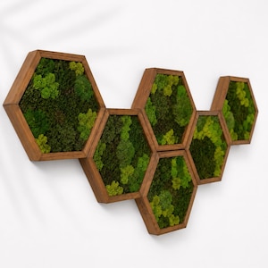 Puede incluir: Un conjunto de pared formado por cinco marcos hexagonales de madera conectados, cada uno con musgo verde preservado en tonos variados de verde lima, esmeralda y bosque, creando una exhibición botánica texturizada.