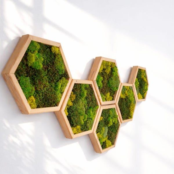 Zeshoekige moswanddecoratie, geconserveerde groene decoratie, houten lijsten, biofiel ontwerp