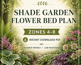 Progetto per aiuola in giardino ombreggiato, disegno da giardino stampabile in PDF, layout per giardino perenne nelle zone climatiche 4-8, guida alla piantumazione per principianti