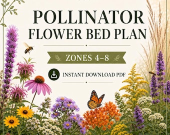 Plano de parterre para polinizadores en PDF, diseño de jardín a pleno sol, zonas 4-8, guía de jardín perenne para principiantes, lista de plantas y guía de espaciado.