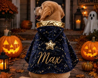 Personalized Halloween Dog Wizard Cape, Custom Embroidered Pet Name Costume, Magical Cat & Puppy Witch Cloak, Cute Halloween Party Outfit