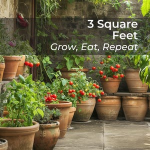 Grow, Eat, Repeat – 10 UK Crop Guides + Planting Calendar | What to Grow, When to Plant + Seed Saving (Digital Download)