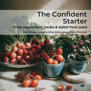 以下が含まれることがあります： 「The Confident Starter」というタイトルの料理本の表紙画像。テキストは「Grow vegetables, herbs & salad from seed」です。画像には、ラディッシュ、トマト、ハーブが青い陶器の鉢に入っており、ガーデニングをテーマにしています。