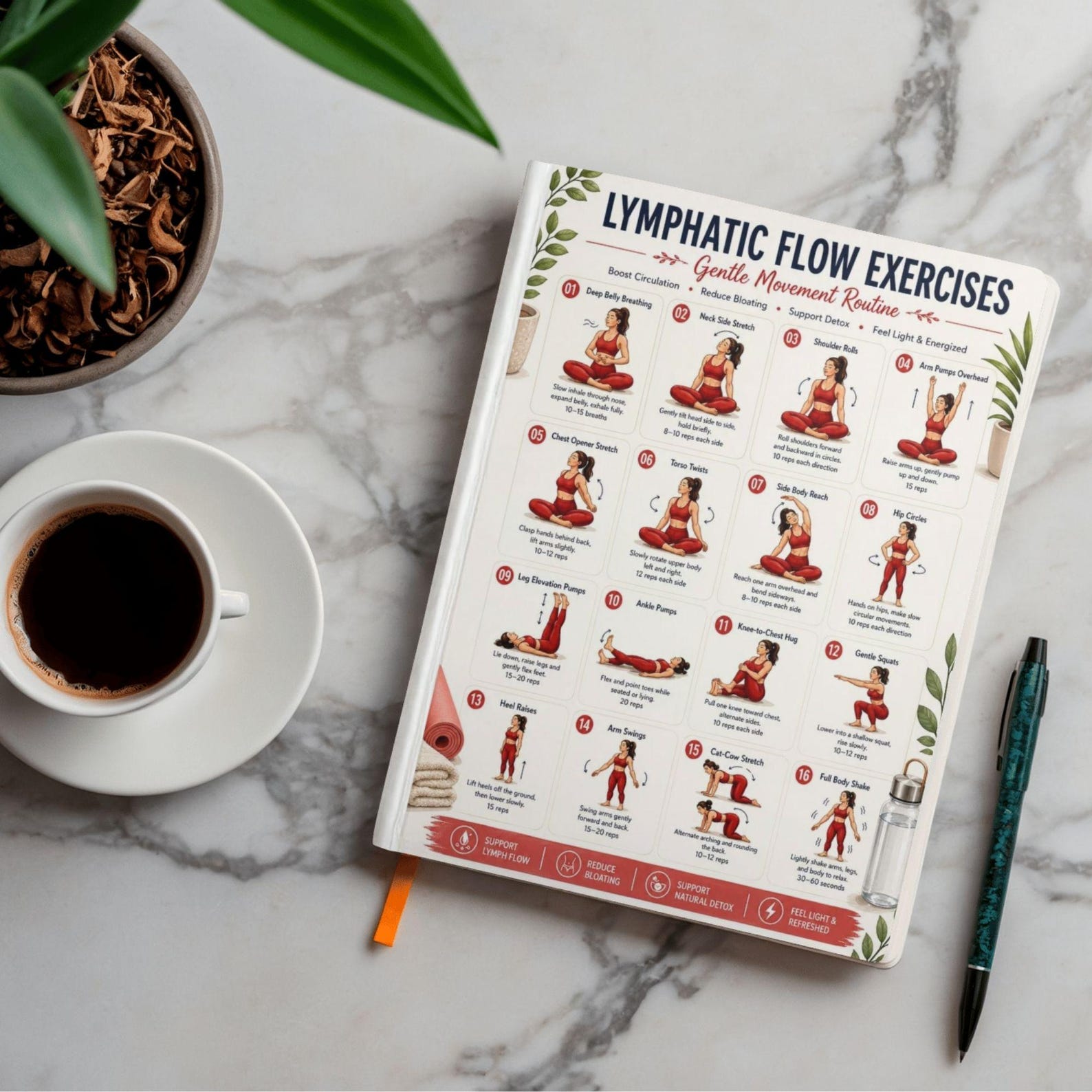 Flow Roving Exercise Lymphatic Flow Exercises Printable, Gentle Movement Routine, Full Body ...