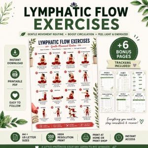 Exercices de circulation lymphatique imprimable, routine de mouvements doux, tableau d'entraînement complet du corps (poster PDF)