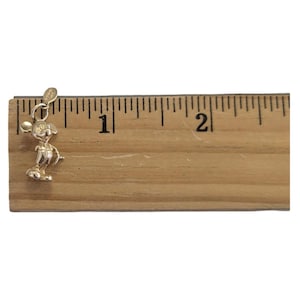 Pode incluir: Um pequeno pingente do Mickey Mouse prateado. O pingente tem aproximadamente 2,5 cm de altura e est&aacute; sobre uma r&eacute;gua de madeira. O pingente tem uma argola na parte superior para prender a um colar ou pulseira.