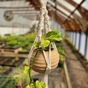 Macrame pottery planter - hanging planter