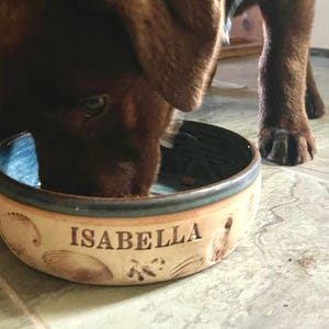 May include: A brown and beige ceramic dog bowl with the name "ISABELLA" in brown lettering. The bowl has a blue interior and is decorated with seashell and floral designs. A brown dog is eating from the bowl.