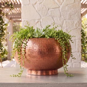May include: A round, hammered copper planter with a wide, bowl-shaped body and a flat base. The planter is filled with a variety of green succulents, including trailing string of pearls and a central rosette-shaped succulent, spilling over the edges.