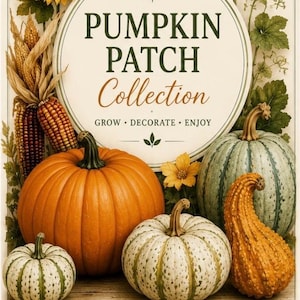 May include: An illustration featuring a variety of pumpkins and gourds in shades of orange, green, and white. The image includes text that reads "Pumpkin Patch Collection" and "6 Seeds of Autumn Magic."