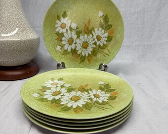 Vintage Lenox Melamine Country Daisy Plate Set of 6
