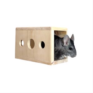 May include: A rectangular light-colored wooden hideout for small animals featuring three circular cutouts on the side panel. A grey chinchilla is partially visible inside the open end of the wooden structure, looking out toward the right side.