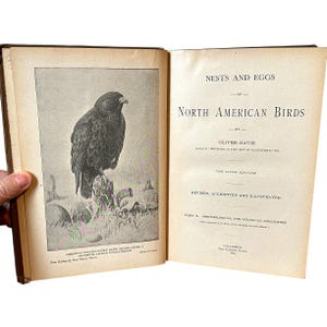 Antique 1898 Book &quot;Nests & Eggs of North American Birds&quot; Oliver Davie- Illustr - Bird Watching Ornithology